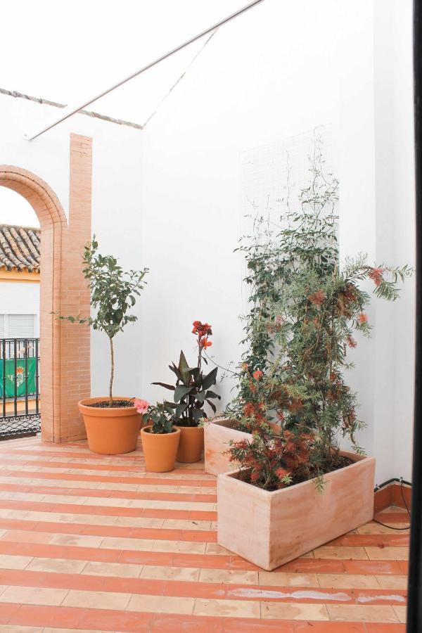 Monkeys Apartments Pureza House Siviglia Esterno foto